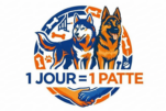 1 Jour = 1 Patte